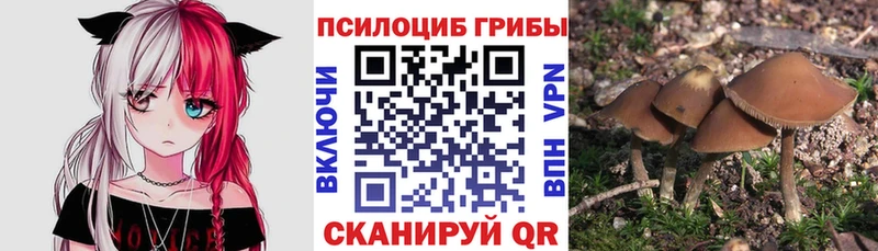 Галлюциногенные грибы Cubensis  кракен вход  Северодвинск 