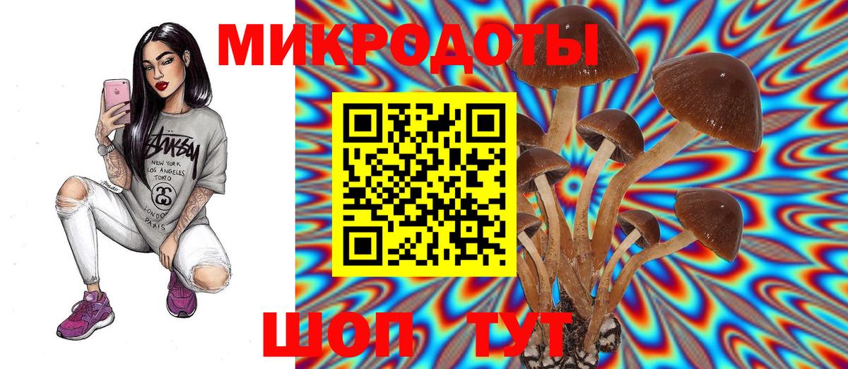 Галлюциногенные грибы Psilocybe Северодвинск